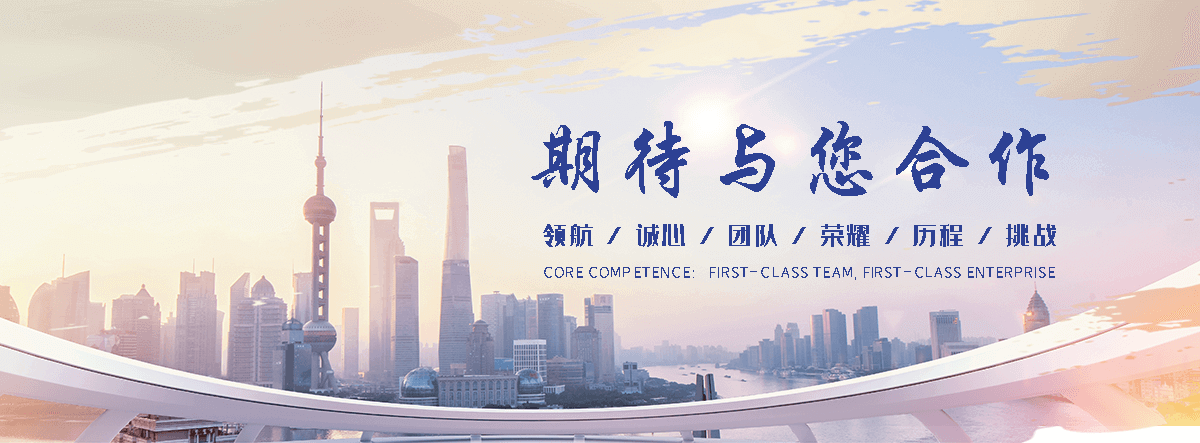长寿优化公司哪家好